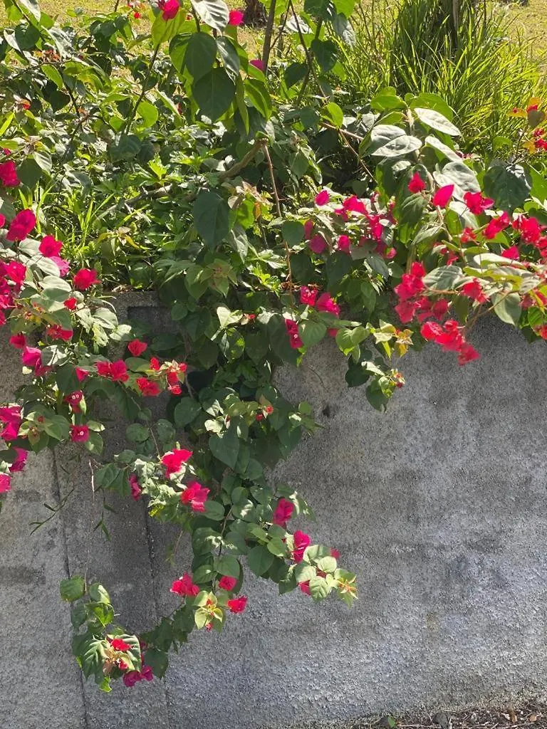Holiday home Au Passage Des Ramiers Villa Deshaies